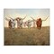 Stupell Industries Family of Longhorn Cattle Canvas By Kathy Winkler 